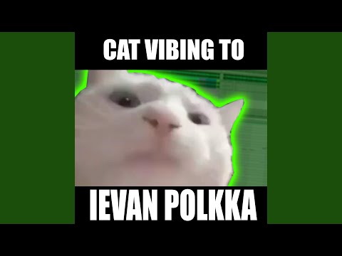 Cat Vibing To Ievan Polkka Swing