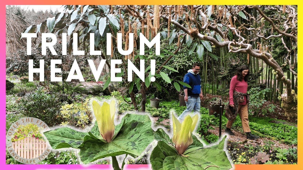 Trillium Garden Tour in Oregon | Rare Varieties + Layered Planting Design