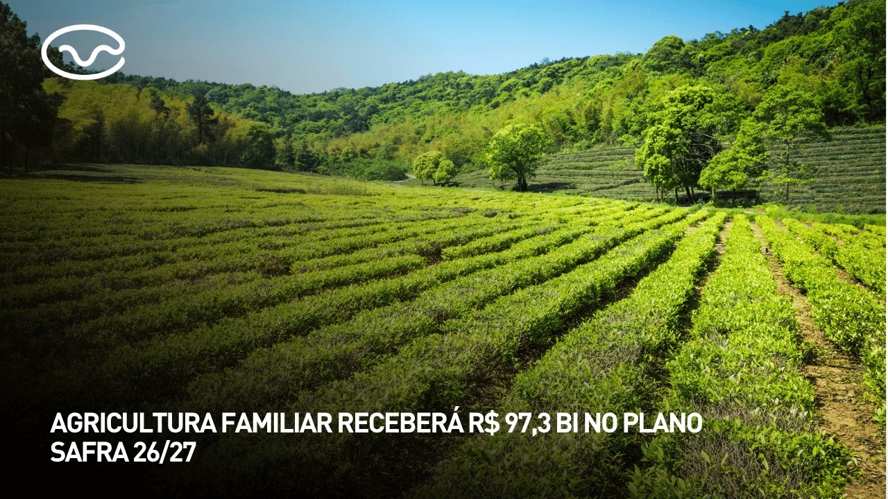 Agricultura familiar receberá R$ 97,3 bi no Plano Safra 26/27