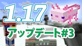 【Minecraft1.17】かわいすぎる新モブ 新ブロック続々登場！#3