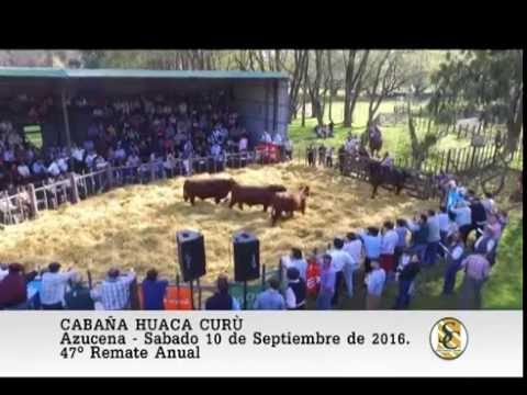 10-09-16 Cabaña Huaca Curù - Vista desde el Dron - Azucena - Remate 2016.