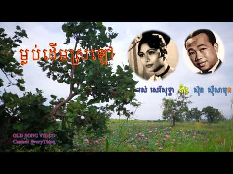 ម្លប់ដើមស្រឡៅ|ស៊ិន​ ស៊ីសាមុត នឹង រស់ សេរីសុទ្ធា​|Mlub derm sroloa|Sin Sisamuth and Rous Serisothea
