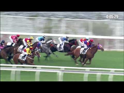 幸運精選21/03/21……(521)第五塲四班1600米