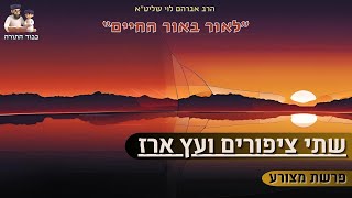 ''שתי ציפורים ועץ ארז'' - הרב אברהם לוי שליט''א📖''לאור באור החיים'' (פרשת מצורע) (הרב שלמה לוינשטיין) - התמונה מוצגת ישירות מתוך אתר האינטרנט יוטיוב. זכויות היוצרים בתמונה שייכות ליוצרה. קישור קרדיט למקור התוכן נמצא בתוך דף הסרטון ''שתי ציפורים ועץ ארז'' - הרב אברהם לוי שליט''א📖''לאור באור החיים'' (פרשת מצורע) (הרב שלמה לוינשטיין) - התמונה מוצגת ישירות מתוך אתר האינטרנט יוטיוב. זכויות היוצרים בתמונה שייכות ליוצרה. קישור קרדיט למקור התוכן נמצא בתוך דף הסרטון