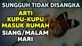 Download lagu ARTI KUPU-KUPU MASUK RUMAH SIANG / MALAM HARI | Arti Kupu - Kupu Masuk Rumah mp3 Download lagu ARTI KUPU-KUPU MASUK RUMAH SIANG / MALAM HARI | Arti Kupu - Kupu Masuk Rumah mp3
