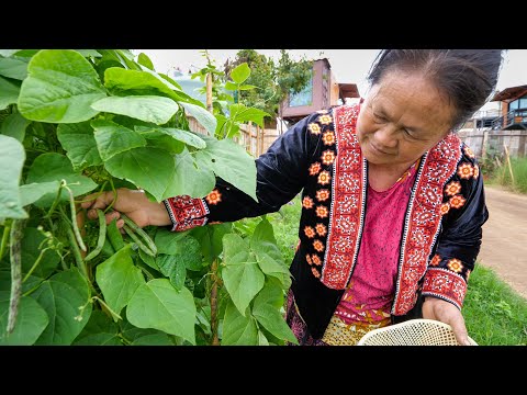 Authentic Hmong Food - Organic + Plant Based Meal in the Mountains!! | Chiang Mai, Thailand
