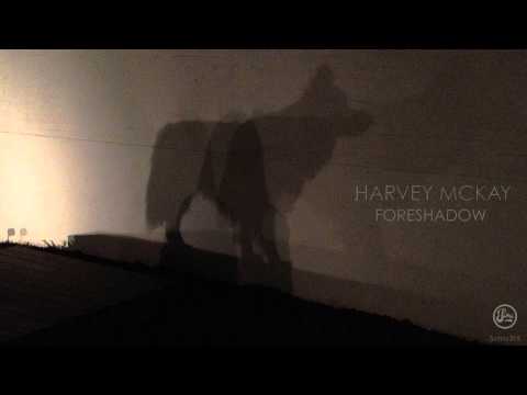 Harvey McKay - Are You Real