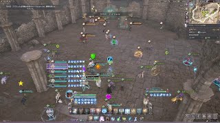 【ThroneAndLiberty】20250830 ギルド戦 - 次元石 ヒーラー視点