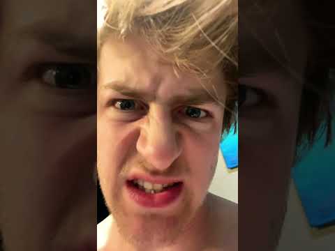 The #dog MUST BE #booped