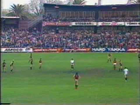 1983 Round 5 : Fitzroy v Carlton @ Princes Park 2 in a minute
