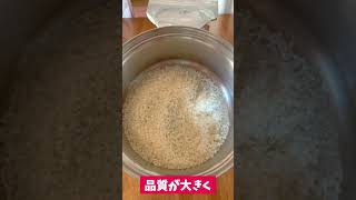 【食糧備蓄】脱酸素剤がわりに使ったホッカイロはその後どうなった?