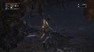 Bloodborne　ブラッドボーン　筋技ビルド　自作聖杯ダンジョンしないと栄養失調　 参加◯