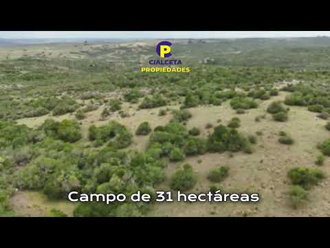 Cialceta Propiedades | Venta de Campo de 31 hectáreas en zona de Cerro Pelado