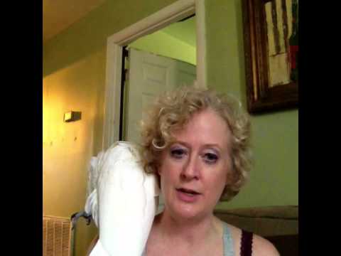 The Hanged Man - Tarot Card