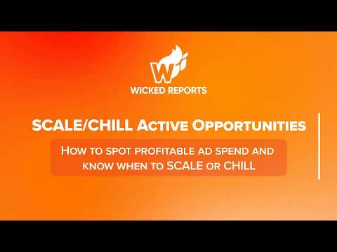 How to Scale Profitable Ad Campaigns | Wicked Reports "Scale & Chill" Training