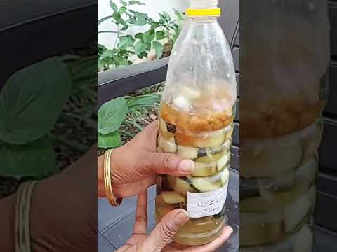 Health Tonic For Plants ||How To Make Enzyme From Kitchen Waste ||