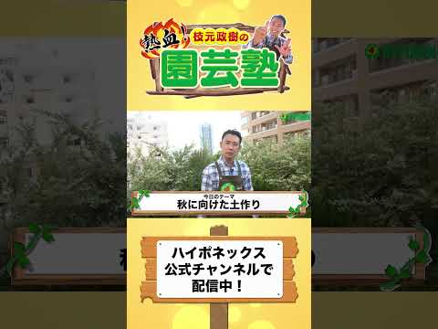 庭で生石灰をいつ使用するのですか?すべての用途の説明: 菜園、芝生、果樹  庭園