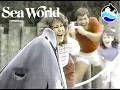 1984 It S All At SeaWorld San Diego Musical TV Commercial
