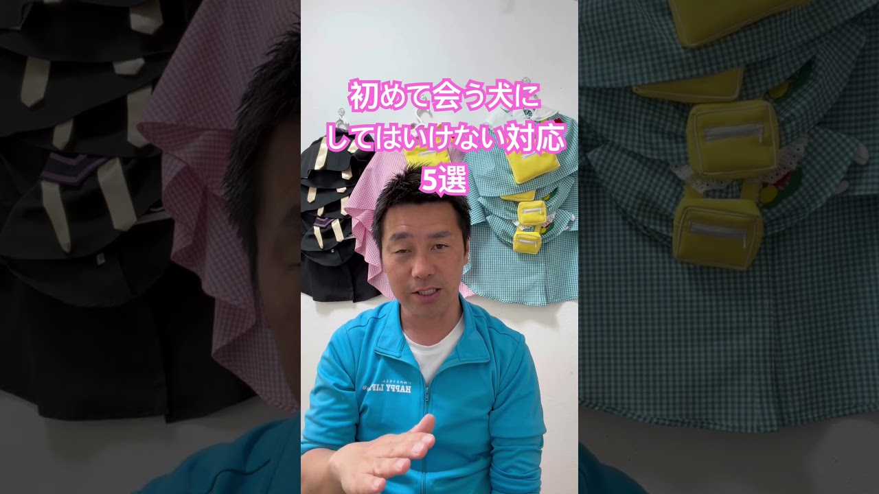 お花見シーズンに注意！初めて会う犬にしてはいけない対応5選