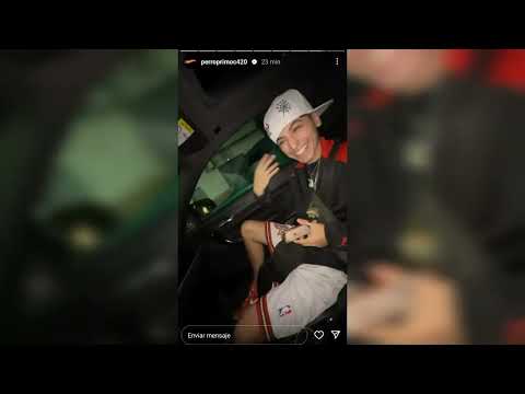 (Adelanto) SIN PATENTE - Perro Primo x Dinamica (Dembow 420)