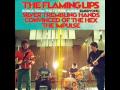Flaming Lips- The Impulse