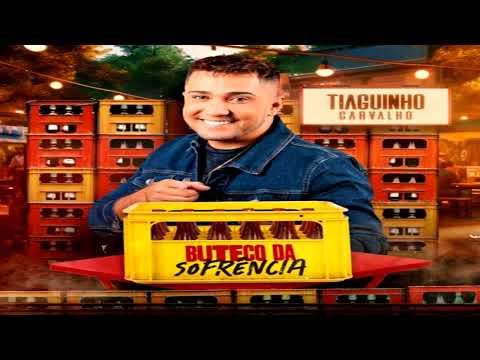 BUTECO DA SOFRÊNCIA = TIAGUINHO CARVALHO = PRA QUE PONTO FINAL