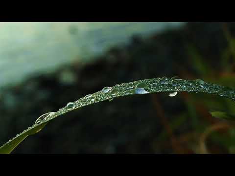 Ajeet Kaur - Adi Shakti - Meditation 1h