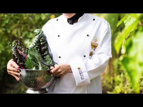 Institute of Culinary Arts - Open Day Video