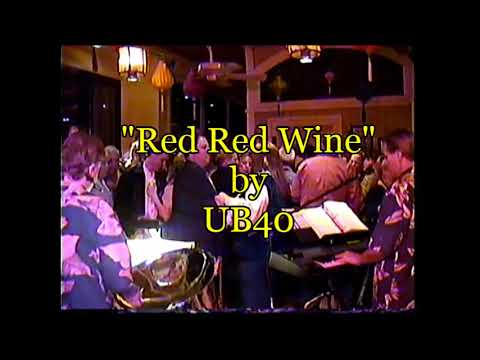 Promotional video thumbnail 2 for Volcano Island Band featuring Sean M.
