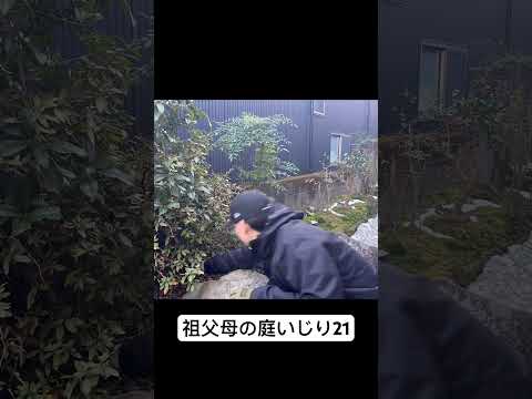 jardin-japonais-bonsaï-canisse-brise-vue-bambou