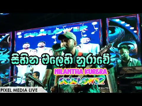 Sihina Malehi Nurawe ( සිහින මලෙහි නුරාවේ ) | Nilantha Kurera | Sunflower | Araliya Rice Mill | 2025