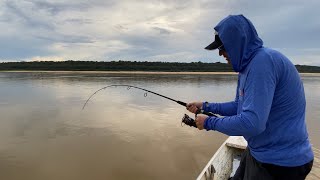 SERIA ESSE O RIO MAIS PISCOSO DA AMAZÔNIA? grandes peixes de molinete.