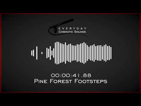 Footsteps Walking in Pine Forest | HQ Sound Effects