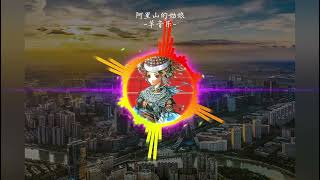 Cover art for 阿里山的姑娘美如水（PHONK)