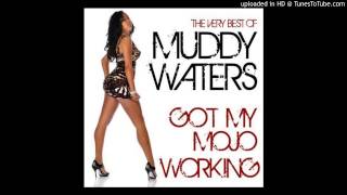 Muddy Waters - Mean Red Spider