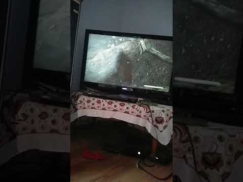 Avenging Kodlak Whitemane