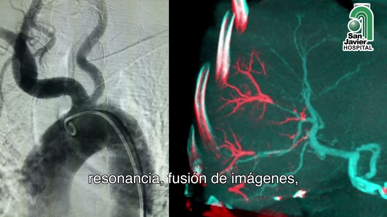 José Pascual Salas Llamas-18