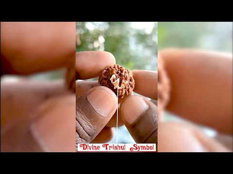 Majestic Om Auspicious Sign Trishul Hindu God Shiva Nirankar Nepal Rudraksha video