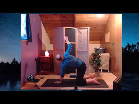 Twisty Basic Vinyasa Flow - Live Twitch Yoga - Adam Yogi