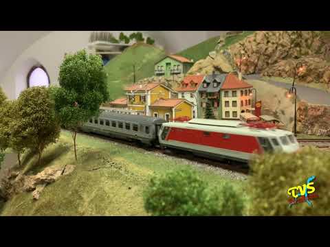 CARNATE - TRENINI IN MOSTRA 2019