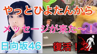 [日向坂46]遂に！？ひよたんからメッセージ来た！体調大丈夫？