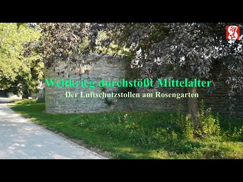 Tag des offenen Denkmals 2020 - Der Luftschutzstollen am Rosengarten