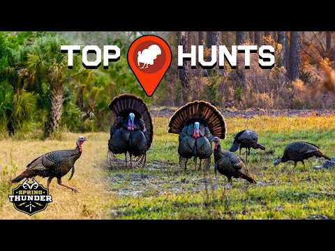 EPIC Turkey Hunting | Best of Spring Thunder | Presented by OnX
