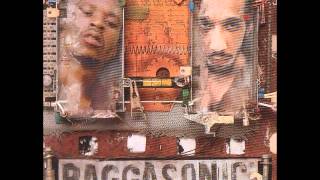 Raggasonic - En Quelques Mots