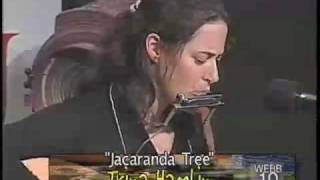 Trina Hamlin - Jacaranda Tree - Words and Music
