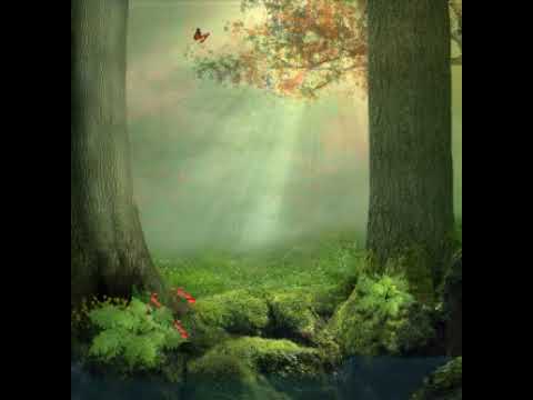 Connie VandenBos Van de Week