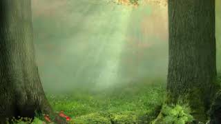 Connie VandenBos Van de Week