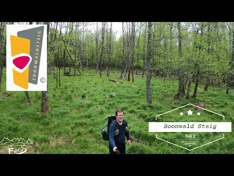 Soonwaldsteig 2:  27 km vom Blickenstein durch Schwappelbruch + Glashütter Wiesen bis Schanzerkopf