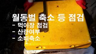 월동벌 사전 점검, 먹이장, 산란여부, 군세에 따른 소비축소