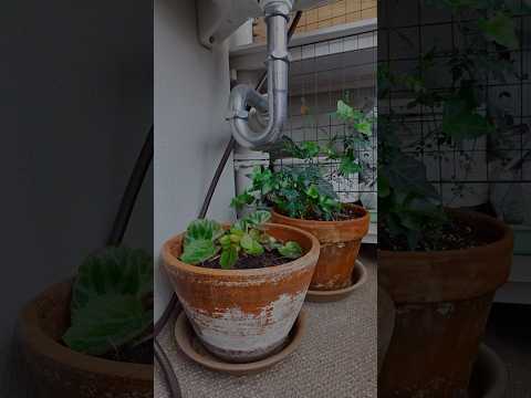 amenagement-balcon-chaises-métal-table-bois-tapis-bleu-galettes-couverture aménagement balcon